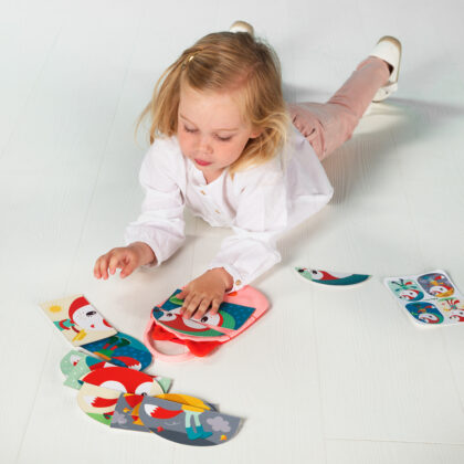 ALICE PUZZLE METEO