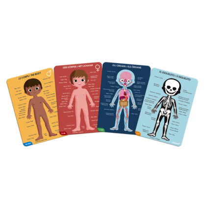PUZZLE EDUCATIF LE CORPS HUMAIN