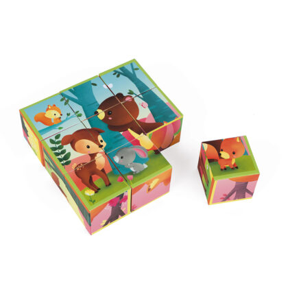 9 CUBES ANIMAUX DE LA FORET JANOD