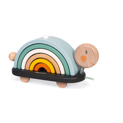 TORTUE ARC EN CIEL EN BOIS JANOD