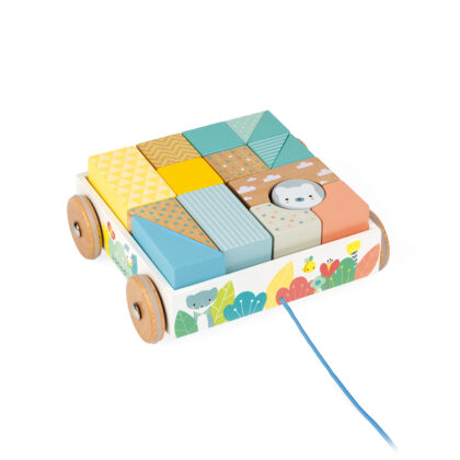 CHARIOT DE CUBES A PROMENER JANOD