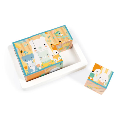 BARQUETTE 6 CUBES JANOD