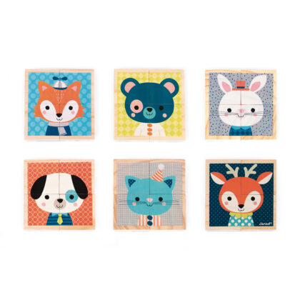 MES PREMIERS CUBES FORET JANOD