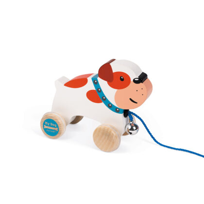 CHIEN A PROMENER JANOD