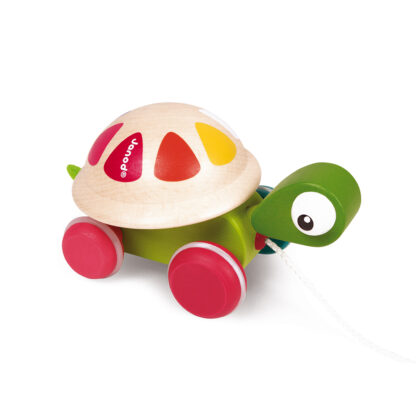 TORTUE A PROMENER ZIGOLOS
