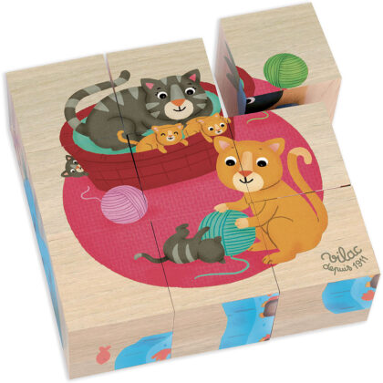 9 CUBES BOIS ANIMAUX VILAC